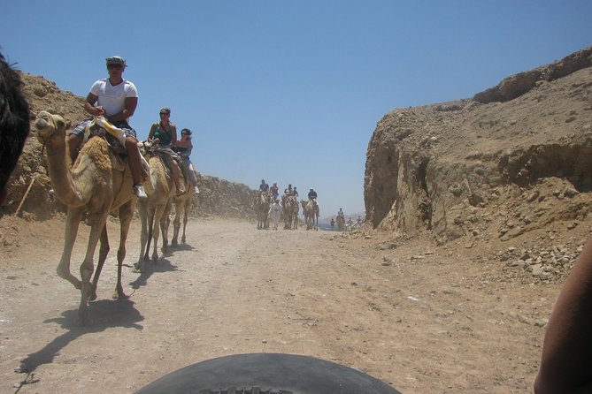 Camel Ride + Blue Hole Snorkeling + Quad Bike Tour With Lunch From Dahab - Tour Highlights