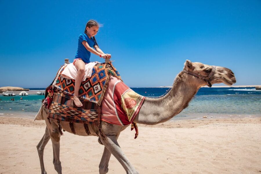 Camel Ride Tour Trek With Tean & Transfers