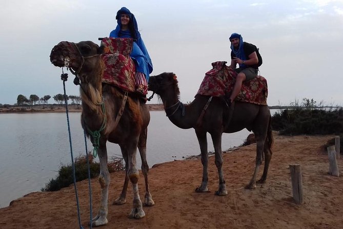 Camel Ride Tours From Agadir & Taghazout