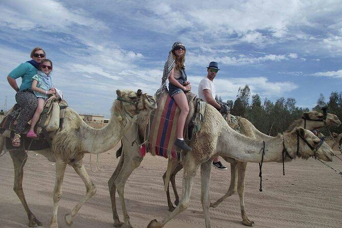 Camel Riding Tour in Sharm El Sheikh Desert