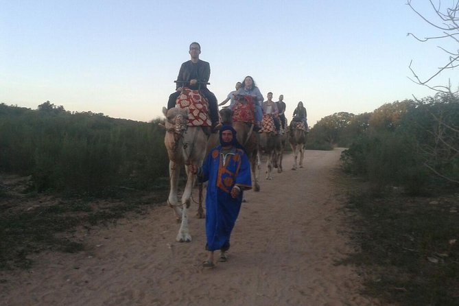 Camel Riding
