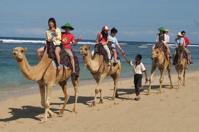 Camel Safari 30 Minutes in White Sand Beach - Experience the Camel Safari