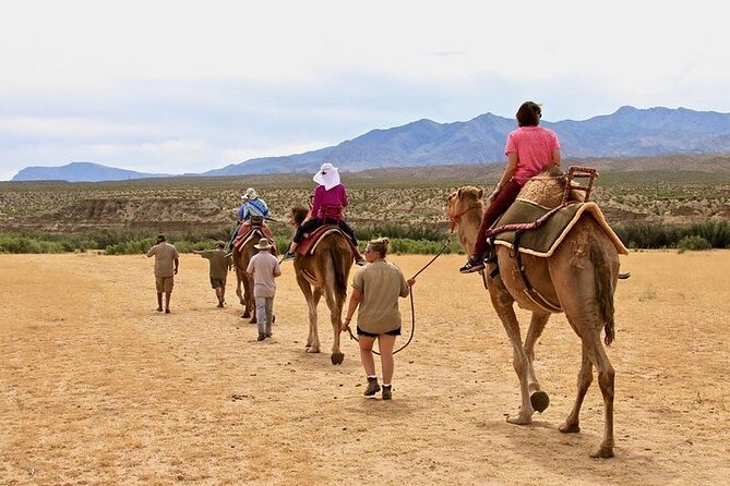 Camel Safari - Camel Ride and Zoo Tour - Overview of Camel Safari