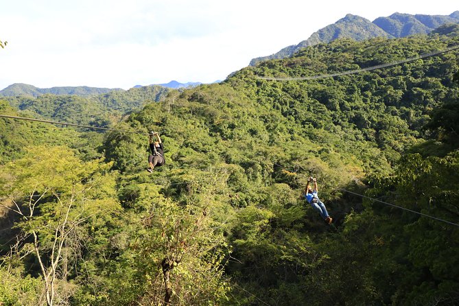 Canopy River Zipline Tour and Mule Ride