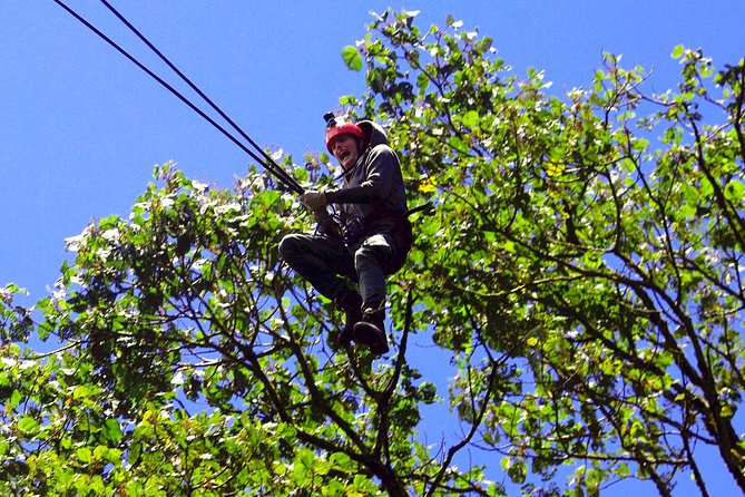 Canopy Tour Plus Walk in Monteverde Cloud Forest