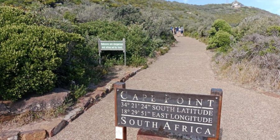 Cape of Good Hope and Cape Point Private Tour for One Day - Overview and Pricing