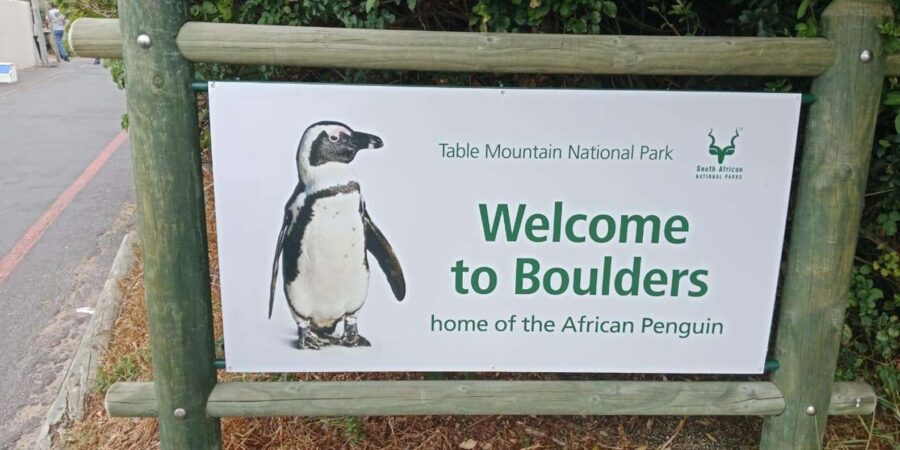 Cape of Good Hope and Penguins Viewing Private Day Tour