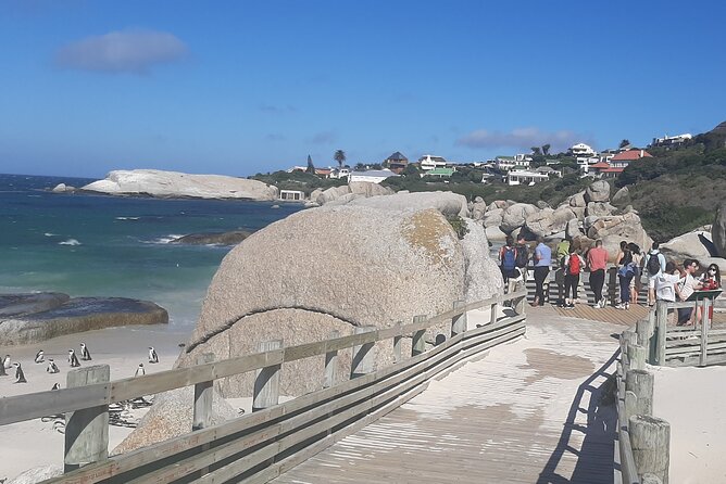 Cape of Good Hope, Seal Island and Penguins Tour