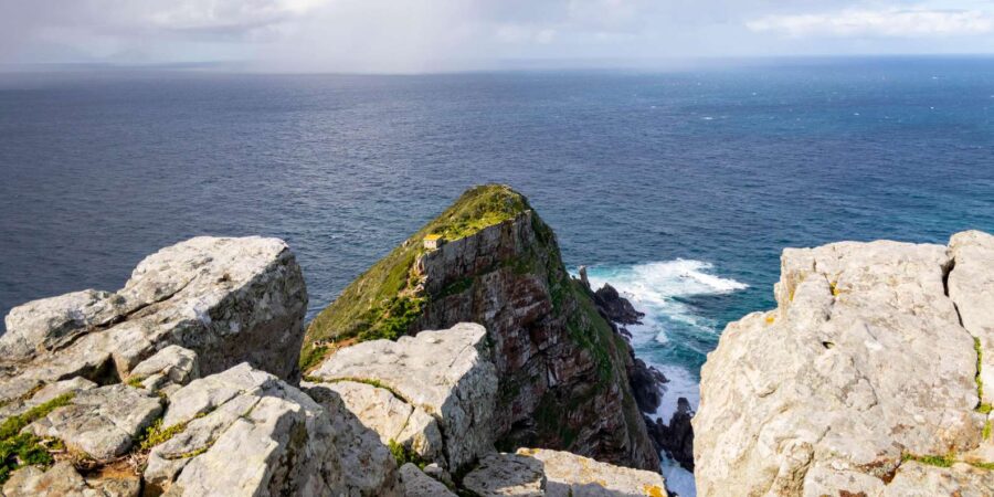 Cape Peninsula: Private Half Day Tour