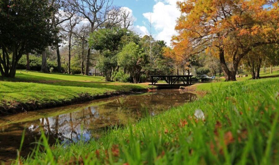 Cape Town for Children: Family Tour