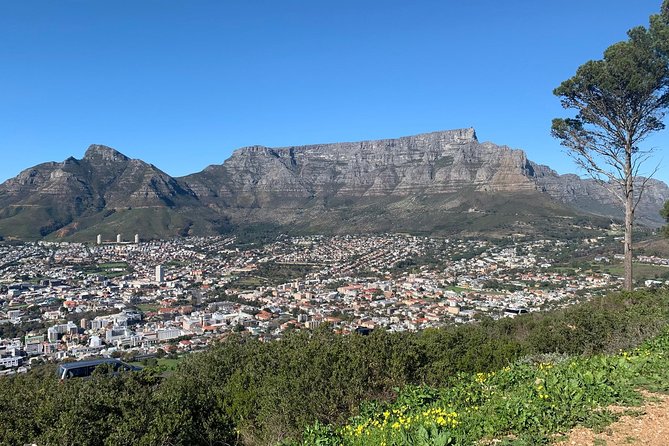 Cape Town Scenic Experience in 2 Days - Day 1 Highlights