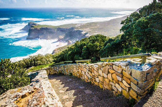 Cape Town Shore Tour: Table Mountain, Penguin & Cape Point