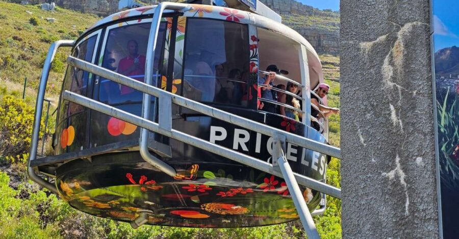 Cape Town: Table Mountain, Cape Point, & Penguins Group Tour