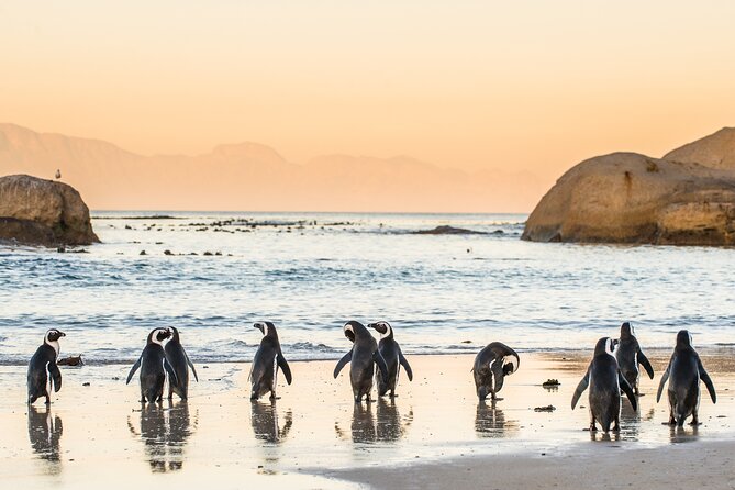 Cape Town & Winelands - Luxury Private Tour (Max 3 Persons) - Tour Overview
