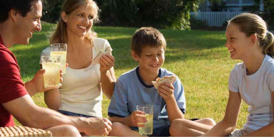 Cape Winelands Half Day Tour From Cape Town