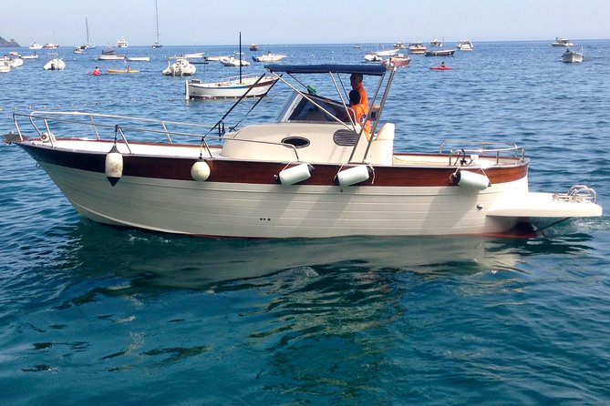 Capri Island Full Day Private Excursion