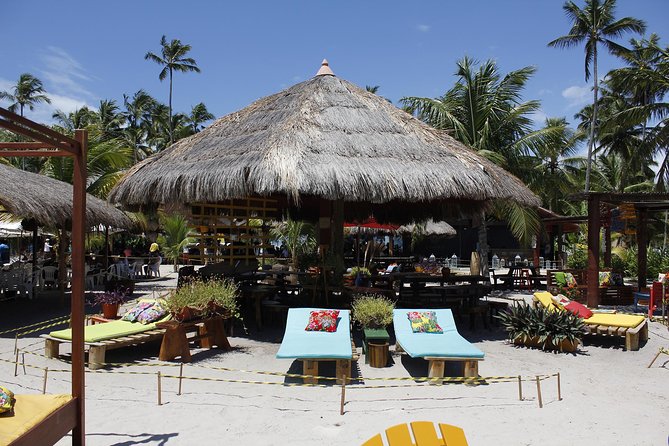 Carneiros Beach Day Tour - Tour Overview