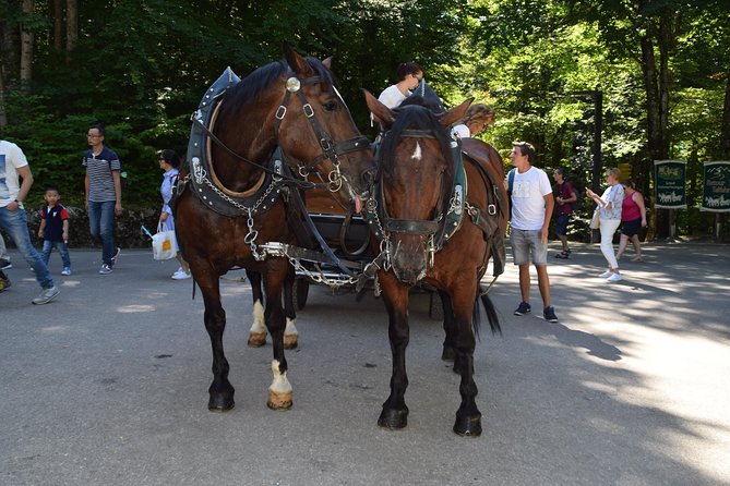 Castle Neuschwanstein Day Trip Review