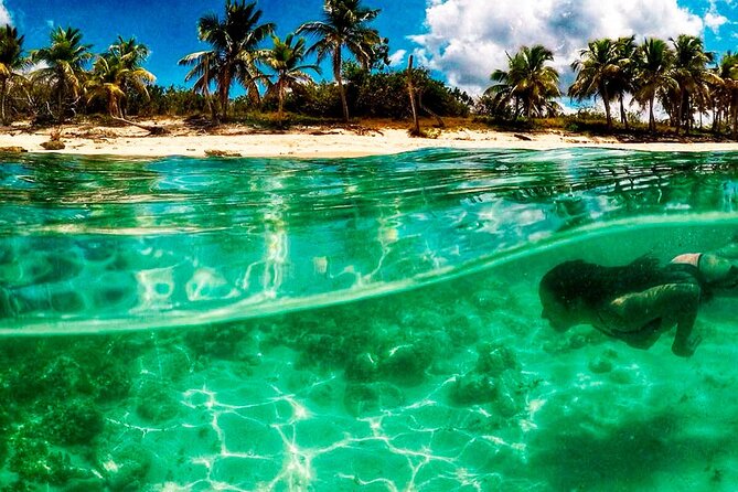 Catalina Island and Bayahibe Snorkel Tour