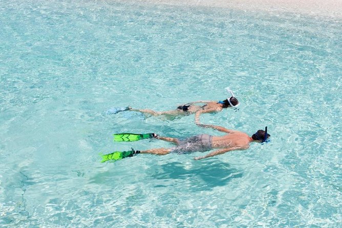 Catalina Island Scuba Diving and Snorkeling Tour From Punta Cana