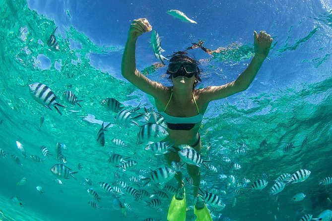Catamaran to Ile Aux Cerf: Undersea Walk, Parasailing, Tube Riding, Lunch, GRSE