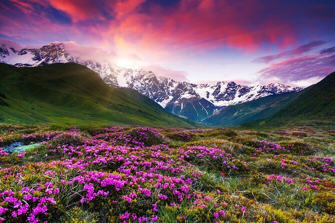 Caucasus Mountains Private Tour : Gudauri – Jinvali – Ananuri