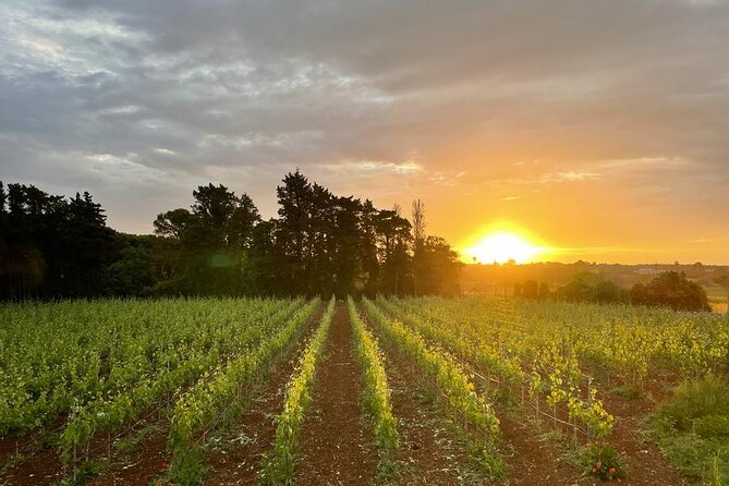 Cellar Visit and Wine Tasting in Salento - Meeting and Pickup Details