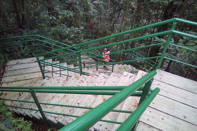 Cerro Tortuguero Tour (Aaron Tours)