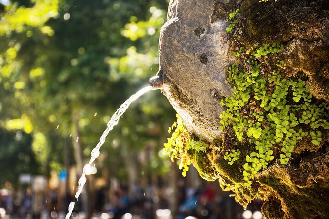 Cézanne Pathway : Wine and Art in Majestic Aix En Provence