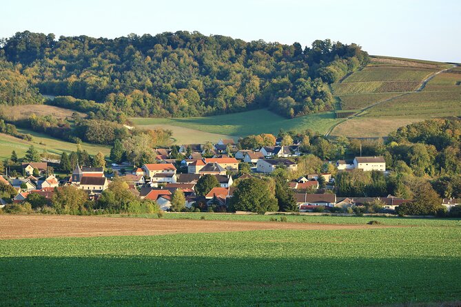 Champagne Guy De Chassey : Premium Tour and Tasting - Overview of the Champagne Estate