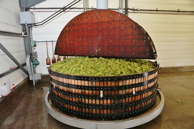 Champagne Guy De Chassey: Traditional Tour & Tasting - Exclusive Experience