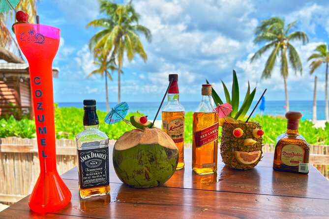 Chankanaab Beach Park Premium Day Pass With Open Bar and Lunch