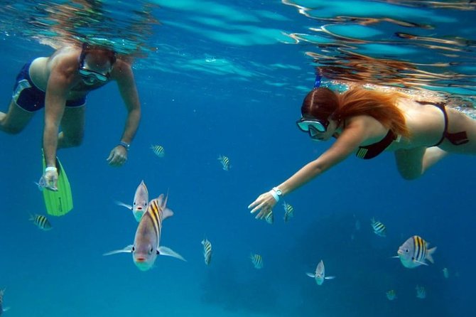 Chankanaab Park All Inclusive Day Pass and Snorkel With Lunch