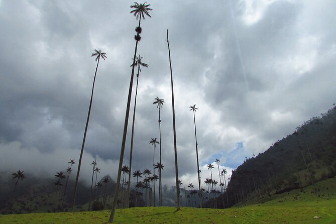 Charming Towns in the Coffee Cultural Landscape