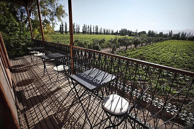 Charms of Mendoza: Private Tour 3 Wineries With Paired Lunch