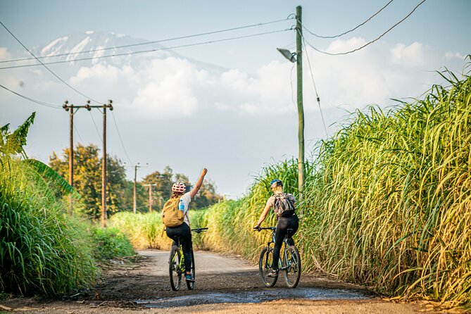 Chemka Hotpsrings Cycling Day Trip