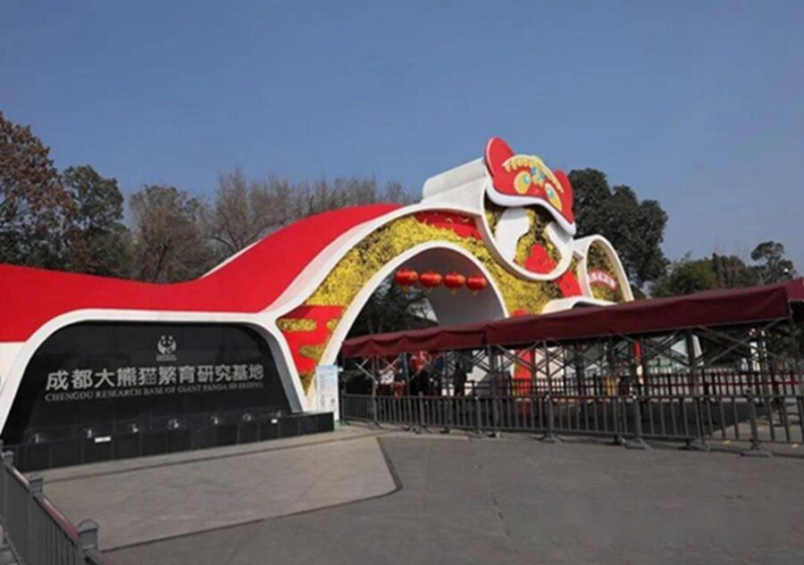 Chengdu Panda & Leshan Buddha One Day Private Tour