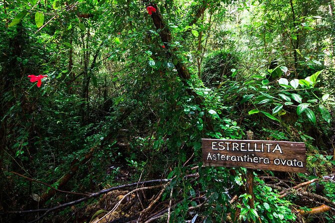 Chiloe National Park and Chonchi Darwin Route