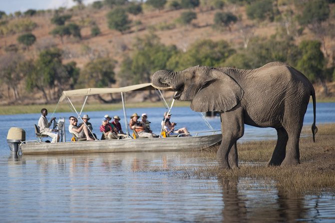 Chobe Day Trip, Botswana