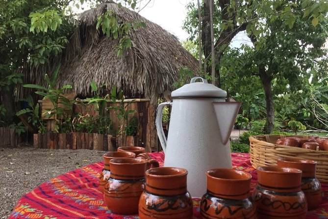 Chocolate Tour in Vallarta