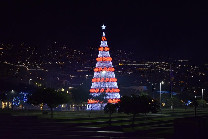 Christmas Lights Tukxi Tour (Price per Tukxi – up to 5 People)