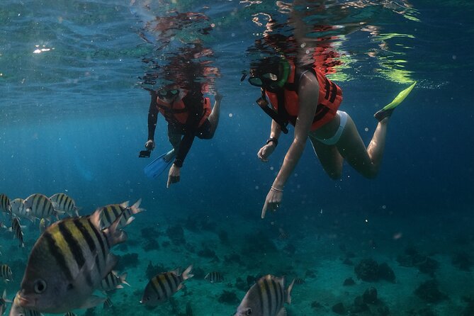 Clear Boat & Snorkel Cozumel Tour With Drinks