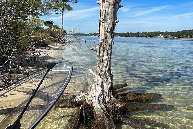 Clear Kayak Ecotour Destin Ft. Walton Beach