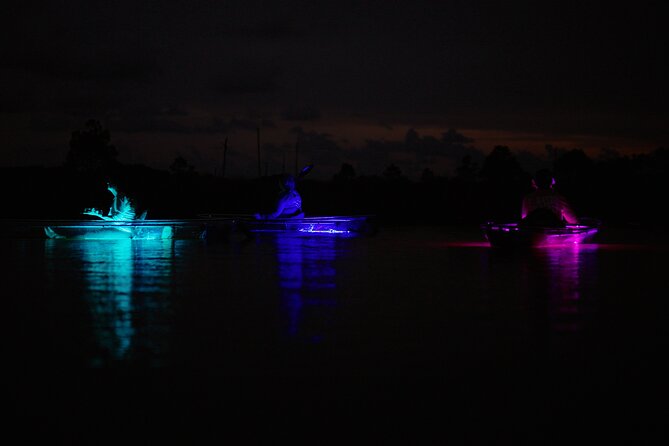 Clear Kayak Glow Tour Destin Ft. Walton Beach - Tour Overview and Highlights