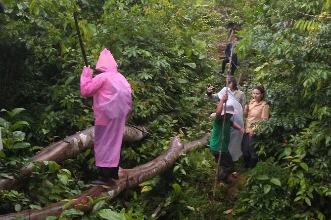 Cocama Ethnic Router in the Nanay River 2 Days 1 Night