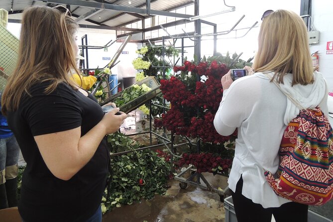 Cochasqui Pyramids, Rose Plantation and Equator Line Day Tour