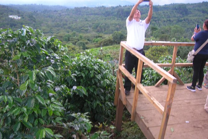 Coffee Tour and Thermal Waters