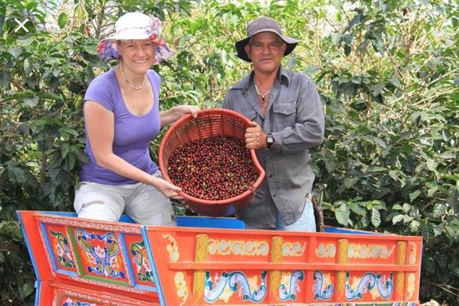 Coffee Tour, Grecia and Sarchi Oxcarts. Private Tour - Tour Overview