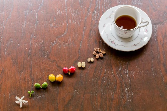 Coffee Tour in the Heart of the Coffee Region