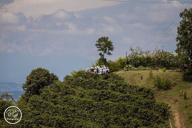 Coffee Tour – Mountains, Delicious Cups and Smiles